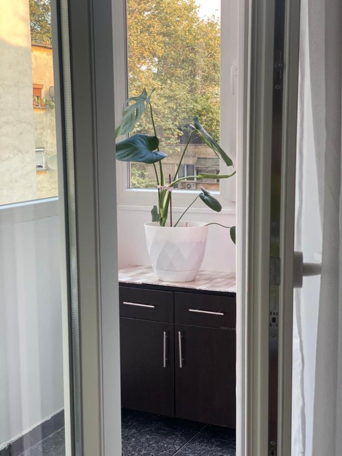 Central Welcoming Apartment In Tiran Dış mekan fotoğraf